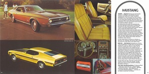 1971 Ford Sports Set-10-11.jpg